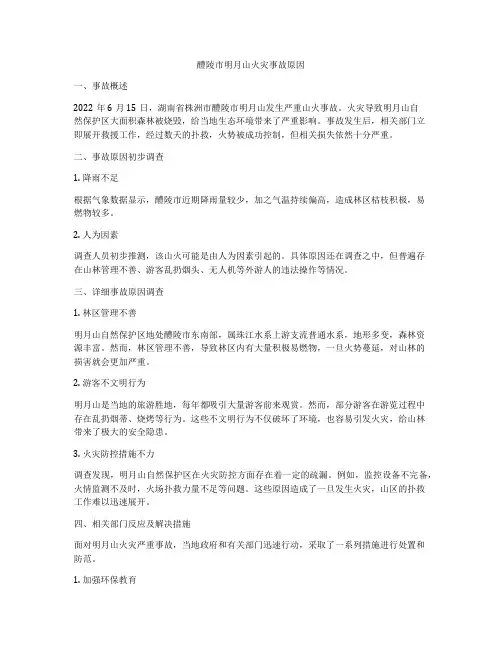 醴陵市明月山火灾事故原因