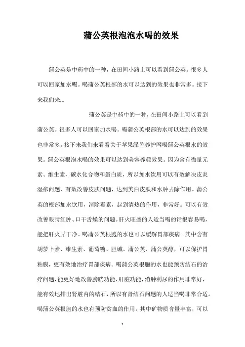 蒲公英根泡泡水喝的效果
