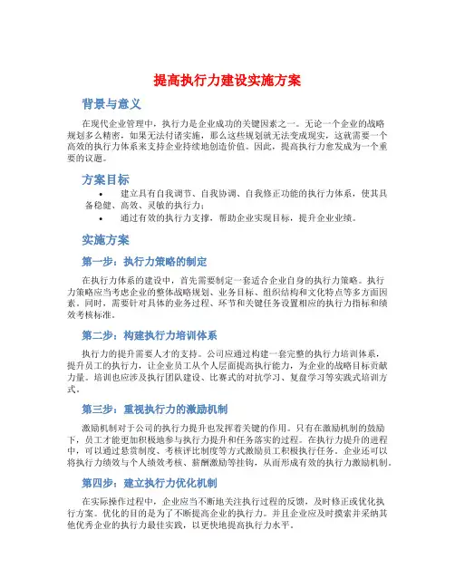 提高执行力建设实施方案