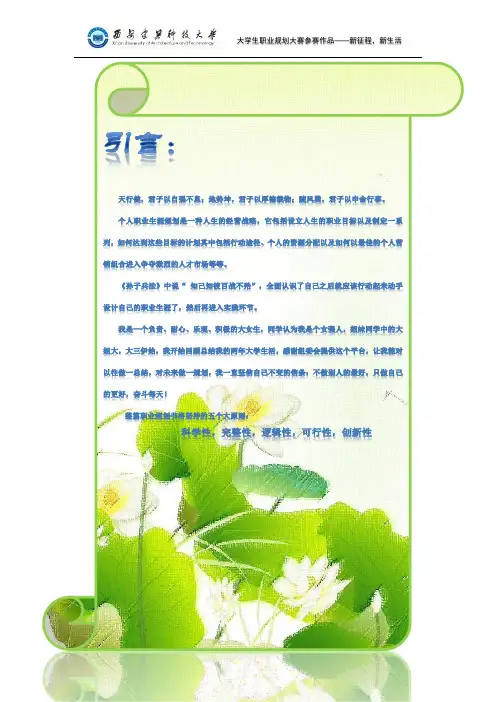 大学生职业规划大赛作品电子版