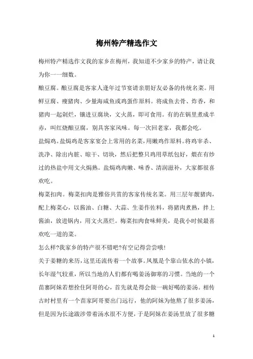 梅州特产精选作文