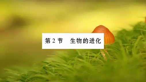 八年级生物下册第七单元第21章第2节生物的进化第一课时课件4