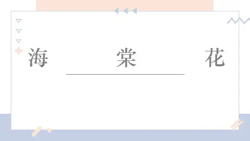 彩铅海棠花-课件