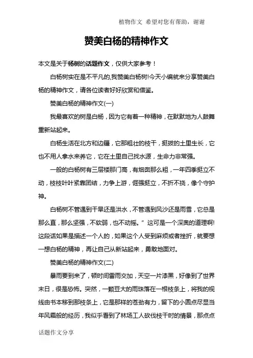 赞美白杨的精神作文