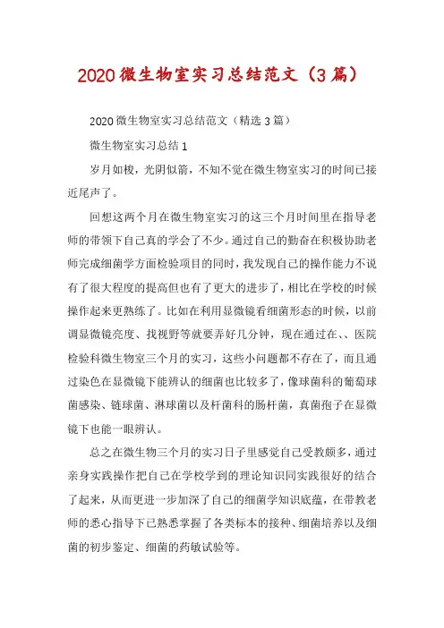 2020微生物室实习总结范文(3篇)
