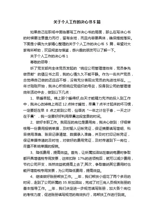 关于个人工作的决心书5篇