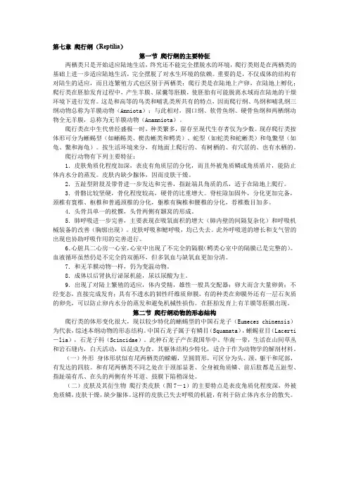 脊椎动物学第七章 爬行纲