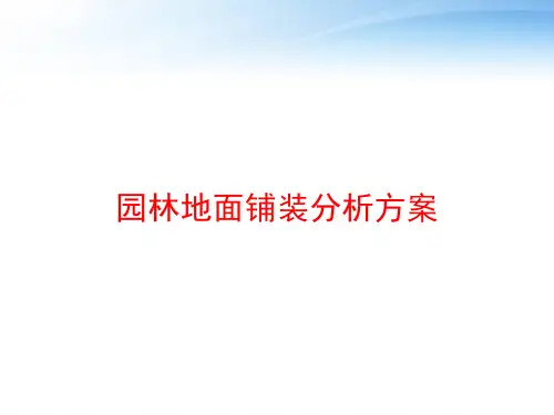 园林地面铺装分析方案 ppt课件