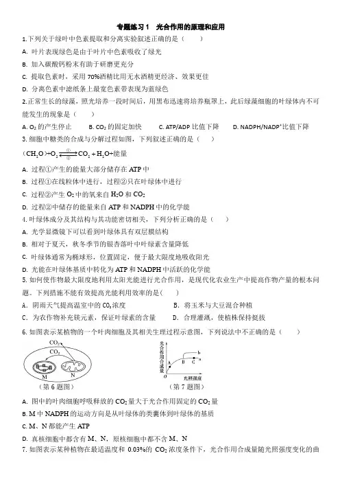 5.4光合作用与能量转化同步练习-(含答案)2023-2024学年高一上学期生物人教版必修1.doc