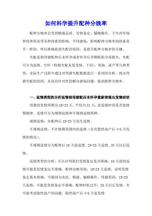 如何科学提升配种分娩率