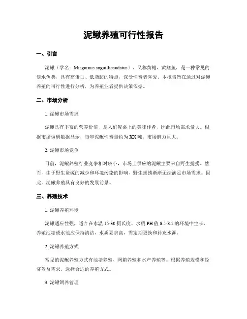 泥鳅养殖可行性报告
