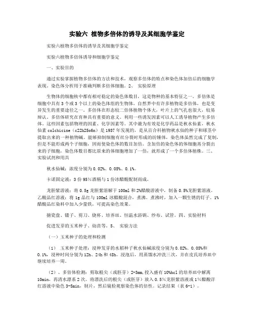 实验六 植物多倍体的诱导及其细胞学鉴定