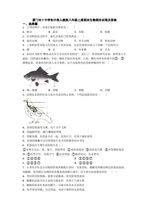厦门双十中学初中部人教版八年级上册期末生物期末试卷及答案