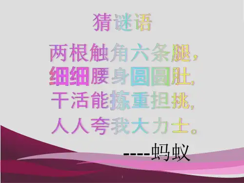 创意美术课程蚂蚁和西瓜