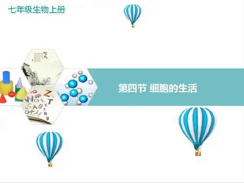 新人教版生物七年级上册《细胞的生活》精品教学课件