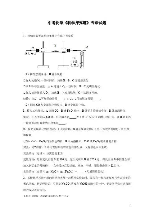 中考化学《科学探究题》专项试题含答案