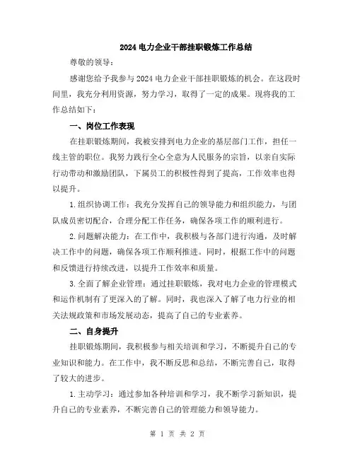 2024电力企业干部挂职锻炼工作总结