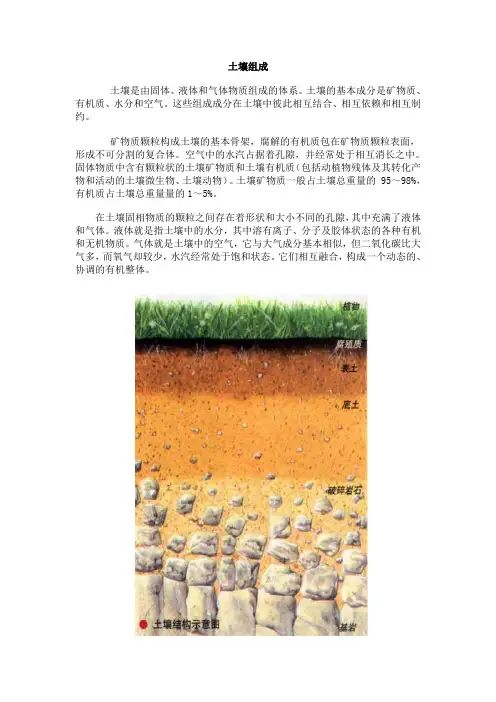 资料：土壤的组成、结构和成分