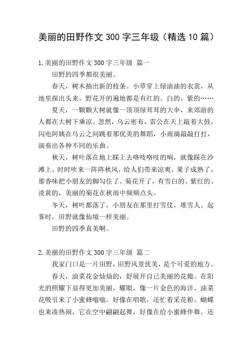 美丽的田野作文300字三年级(精选10篇)