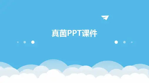 真菌ppt课件
