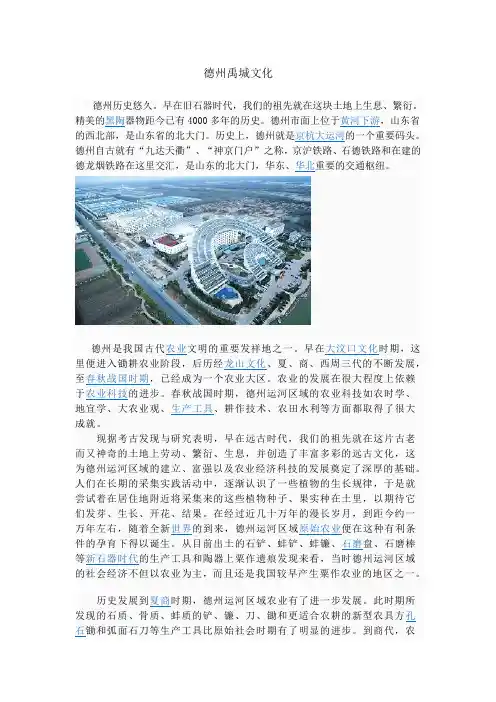 德州禹城文化
