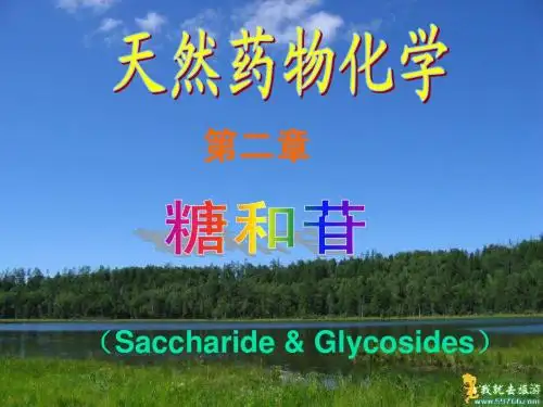 糖和苷类化合物