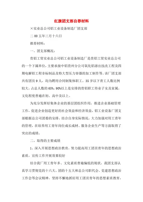 红旗团支部自荐材料