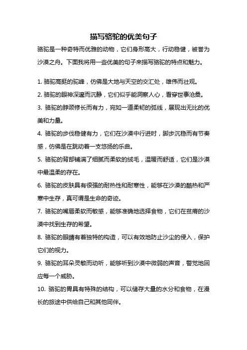 描写骆驼的优美句子