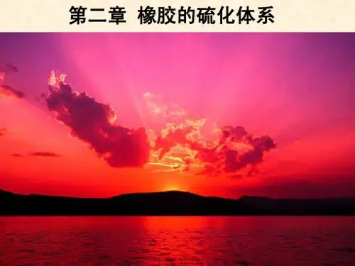 02 橡胶的硫化体系