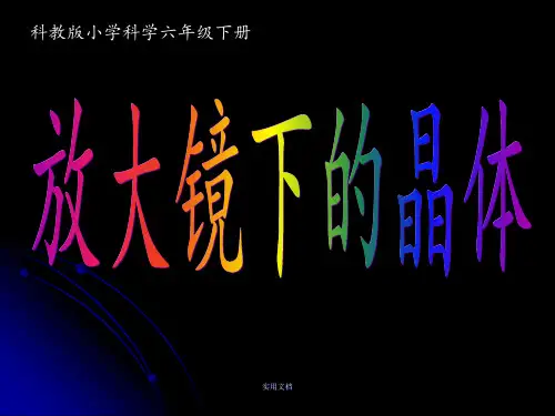 教科科学六级下册《放大镜下的晶体》