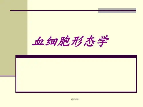 医学血细胞形态学专题
