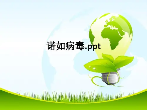诺如病毒.ppt课件