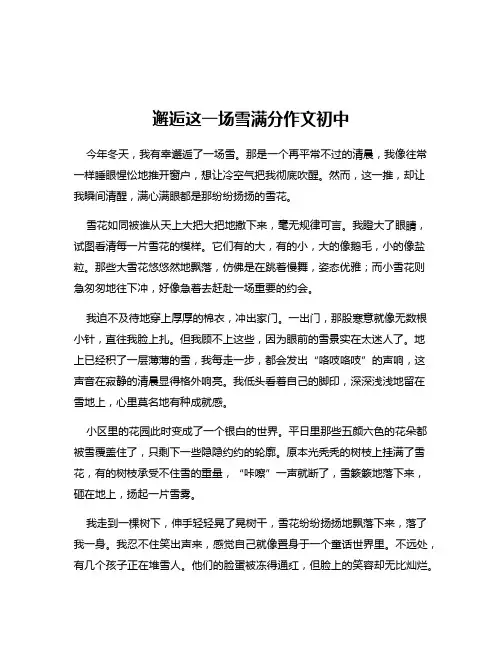邂逅这一场雪满分作文初中