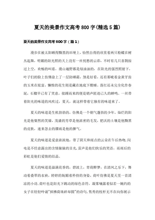 夏天的美景作文高考800字(精选5篇)