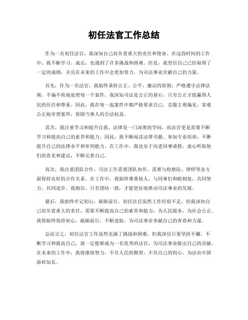初任法官工作总结