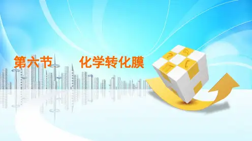 第六节化学转化膜