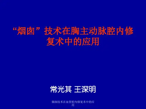 烟囱技术在血管腔内修复术中的应用 ppt课件