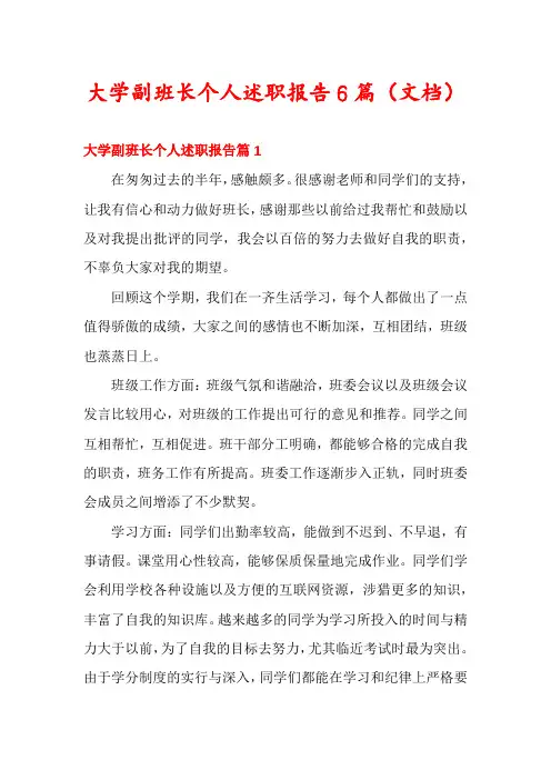 大学副班长个人述职报告6篇