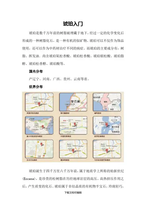 琥珀基础知识(上)
