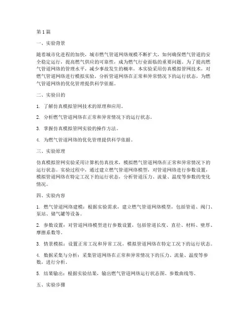 仿真模拟管网实验报告(3篇)
