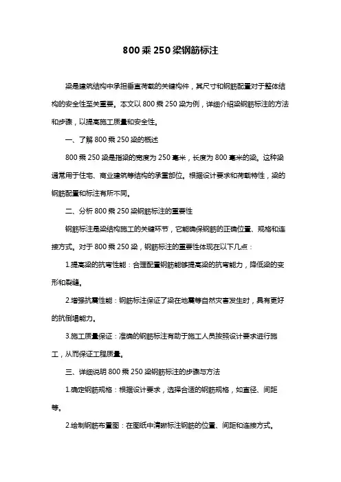 800乘250梁钢筋标注