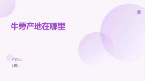 牛蒡产地在哪里
