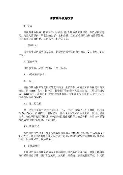 杏树整形修剪技术