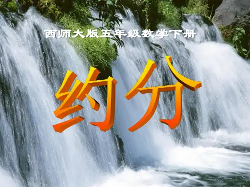 《约分》分数PPT课件 (共16张PPT)
