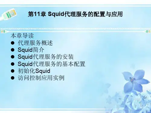 Squid代理服务的配置与应用(ppt 43页)