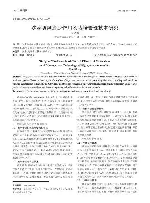 沙棘防风治沙作用及栽培管理技术研究