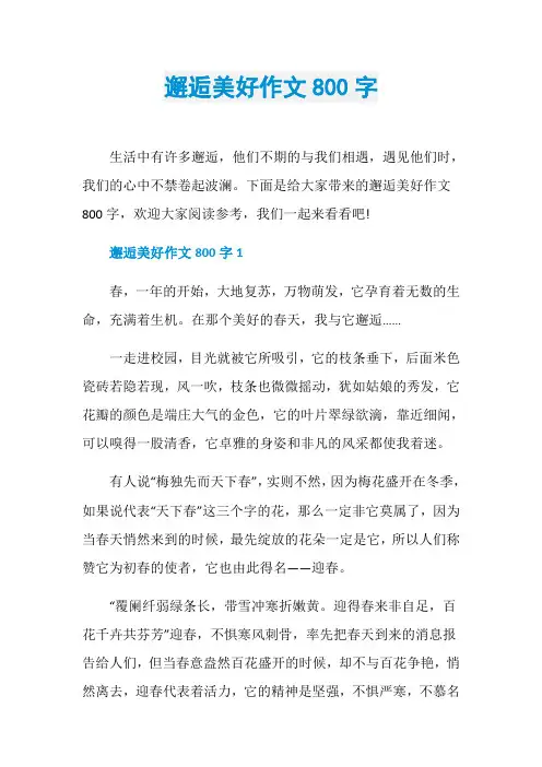 邂逅美好作文800字