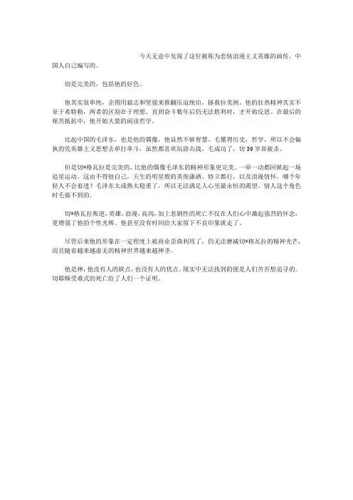 切·格瓦拉的完美