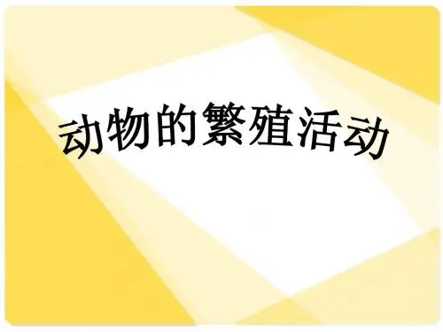 动物的繁殖活动PPT