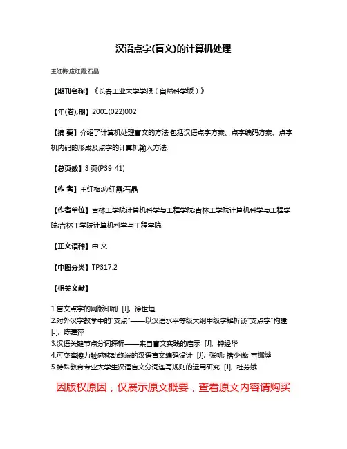汉语点字(盲文)的计算机处理